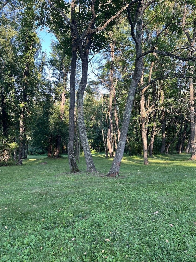 121 Willow Farms Court — photo 3