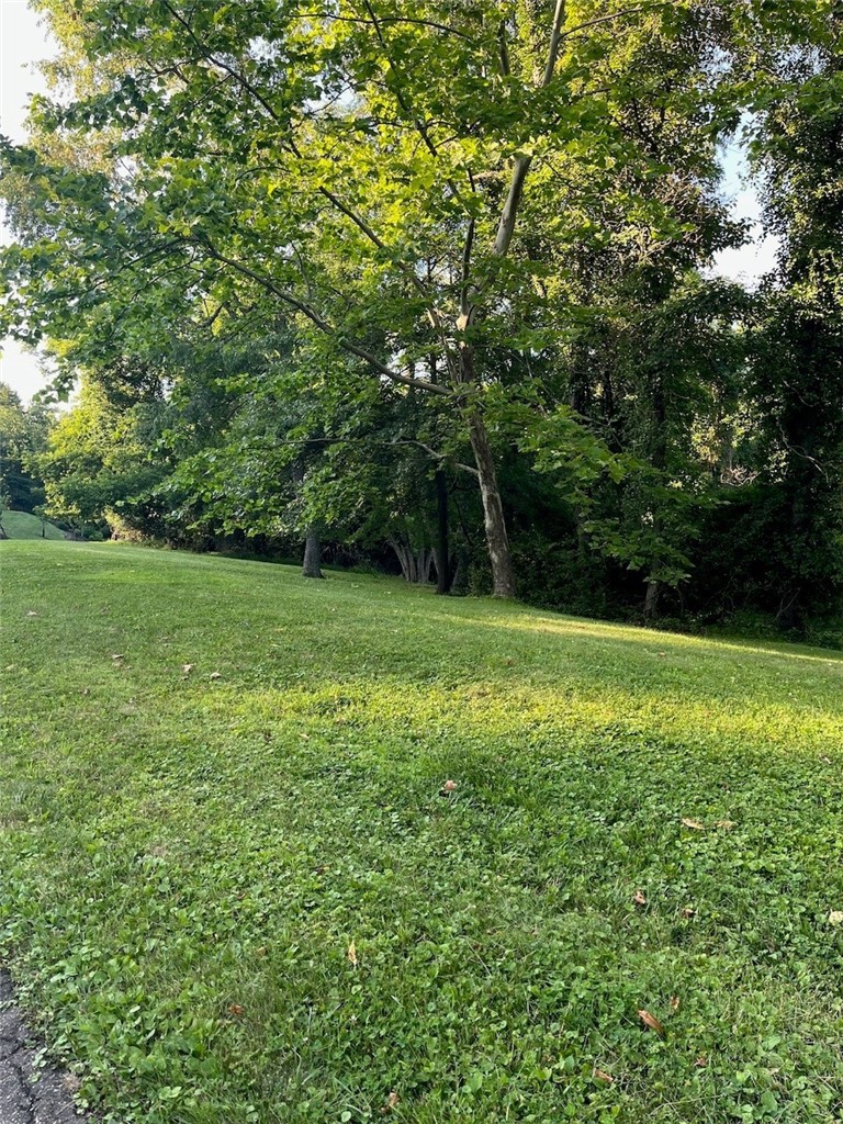 121 Willow Farms Court — photo 4
