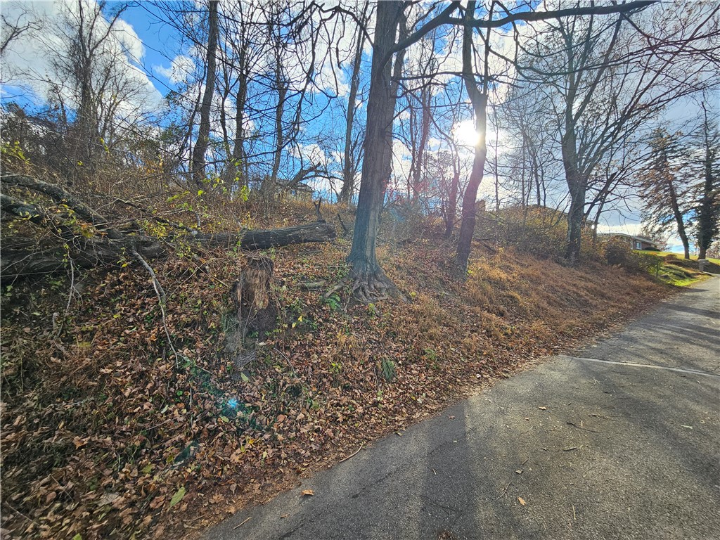 Lot 10-11 Arch St — photo 1