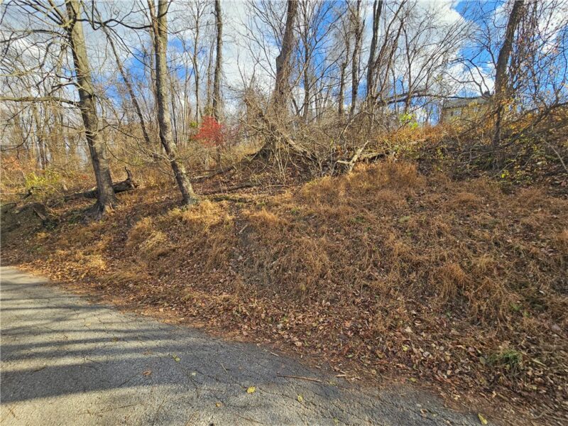Lot 10-11 Arch St — photo 2