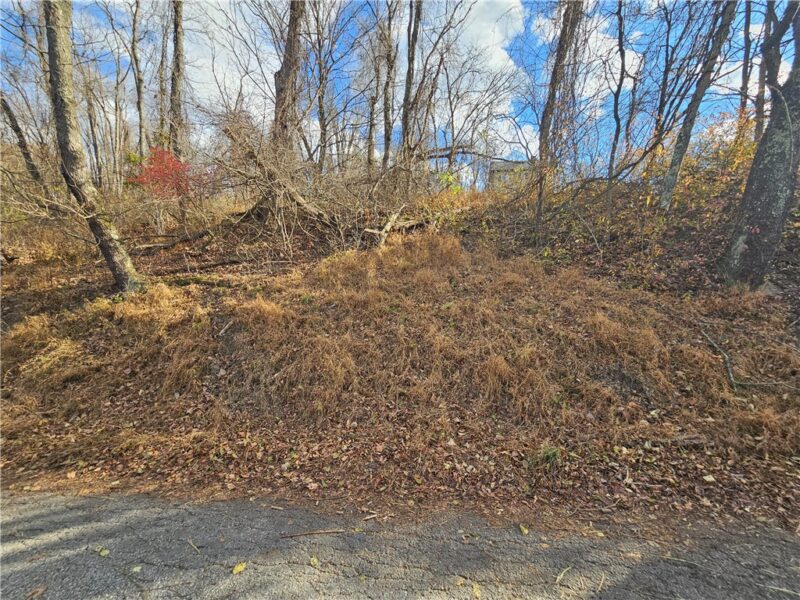 Lot 10-11 Arch St — photo 3