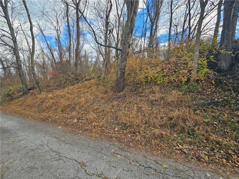 Lot 10-11 Arch St — photo 4