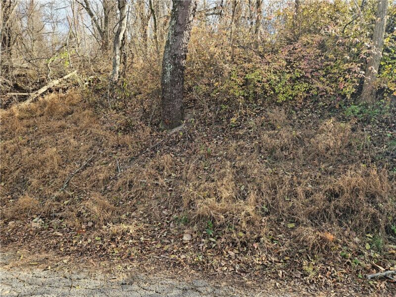 Lot 10-11 Arch St — photo 5