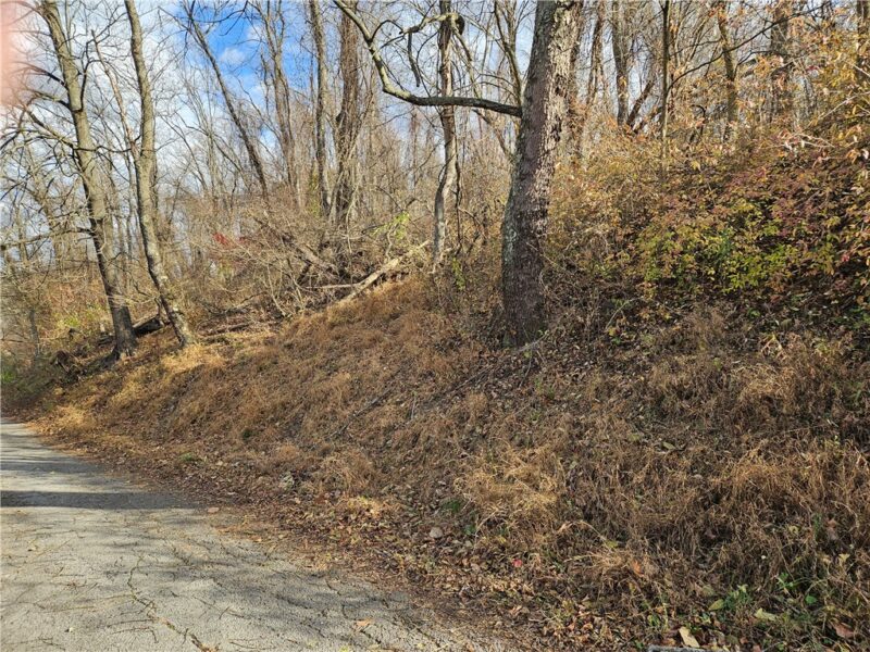 Lot 10-11 Arch St — photo 6