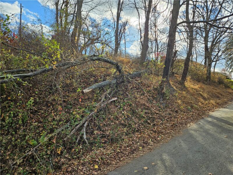 Lot 10-11 Arch St — photo 7