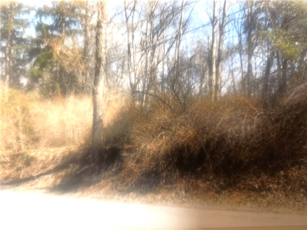 640 Pittsburgh Rochester Road — photo 1