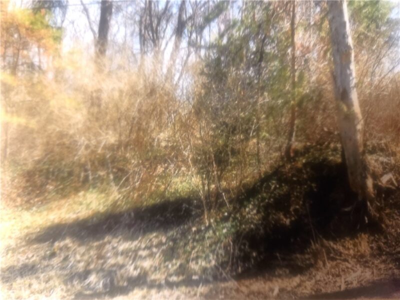 640 Pittsburgh Rochester Road — photo 3