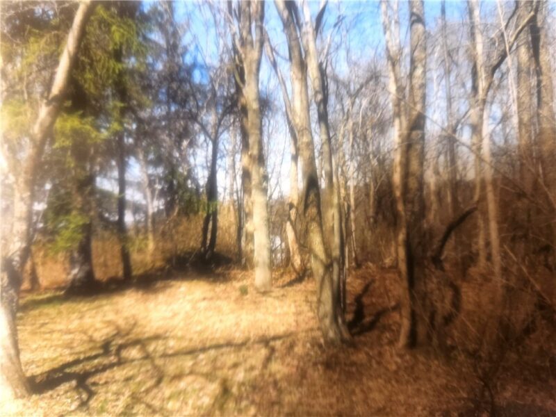 640 Pittsburgh Rochester Road — photo 5