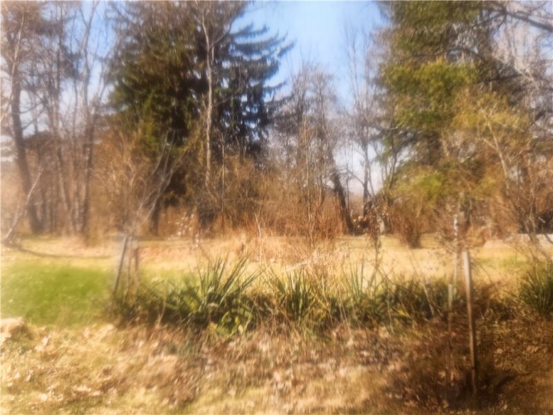 640 Pittsburgh Rochester Road — photo 8