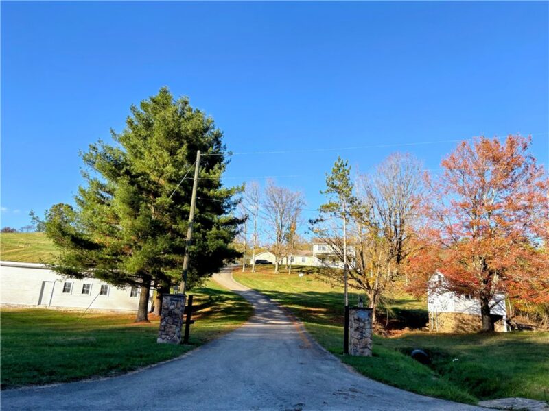 241 Lyons Road — photo 3