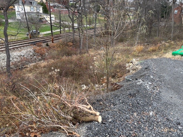 0 Library Rd — photo 5