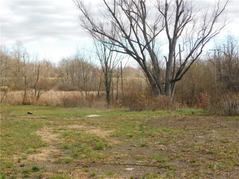 295 Walnut Hill Road — photo 3