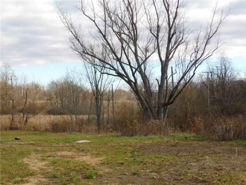 295 Walnut Hill Road — photo 5