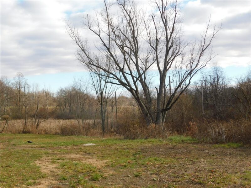 295 Walnut Hill Road — photo 6