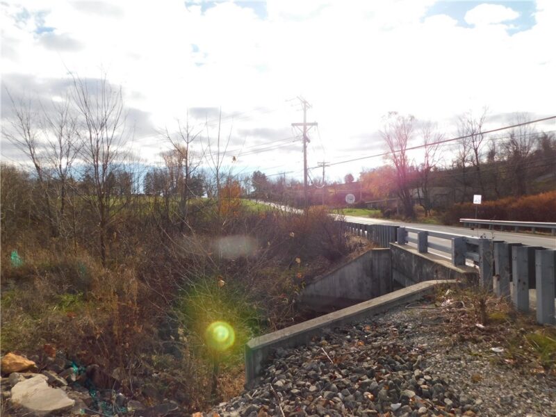 295 Walnut Hill Road — photo 7
