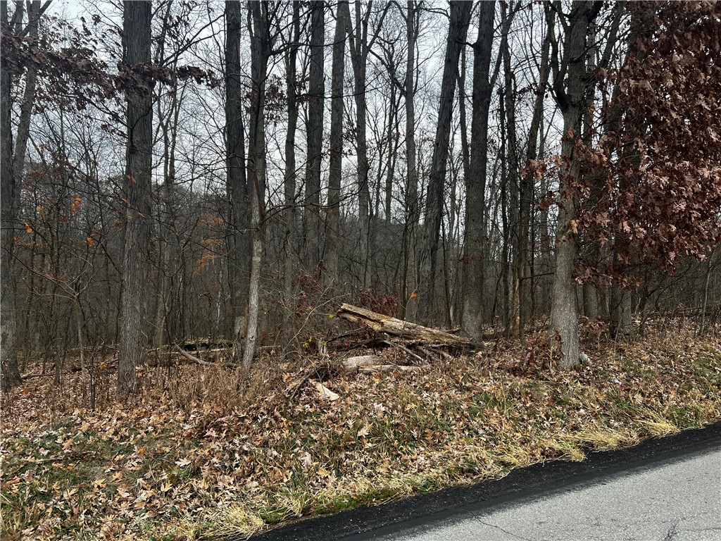 000 Lower Harmony Rd — photo 1