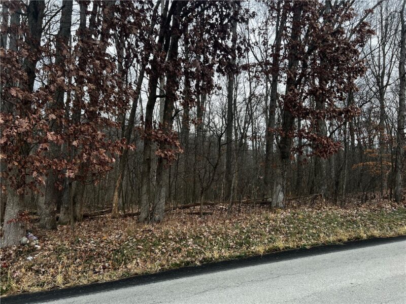 000 Lower Harmony Rd — photo 2