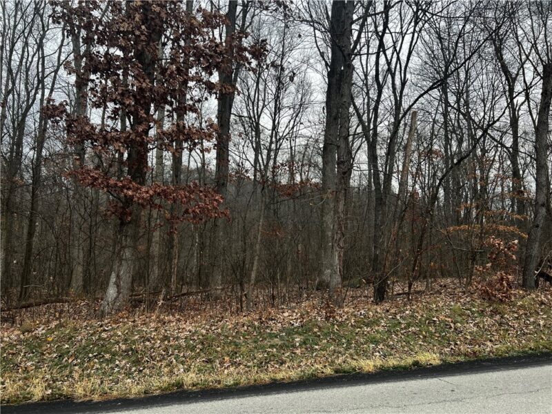000 Lower Harmony Rd — photo 3