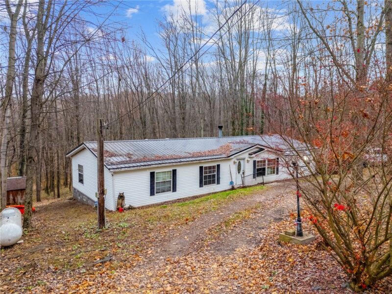 229 Connoquenessing Dr — photo 4