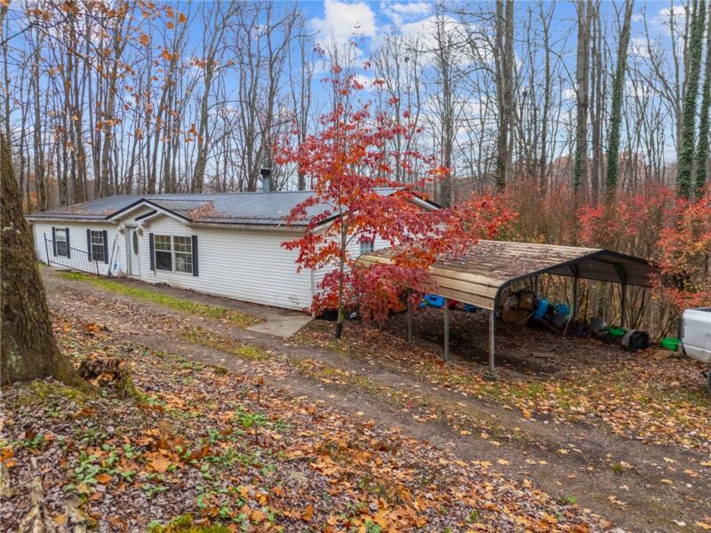 229 Connoquenessing Dr — photo 5
