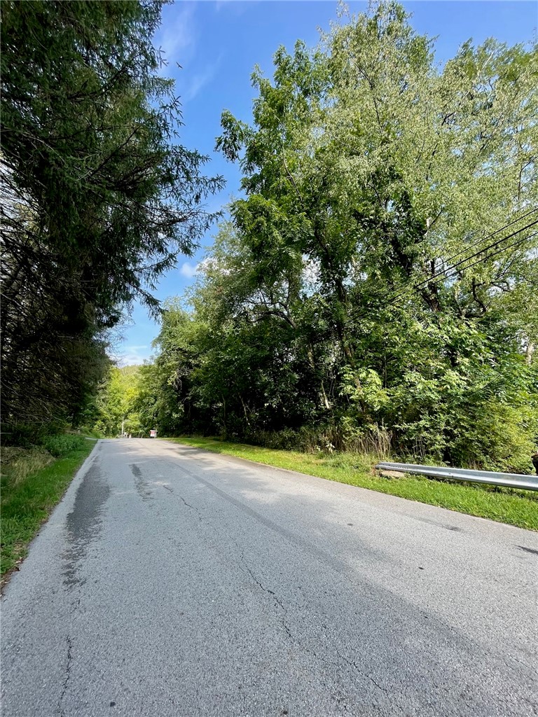 TBD TRIPHAMMER ROAD — photo 4