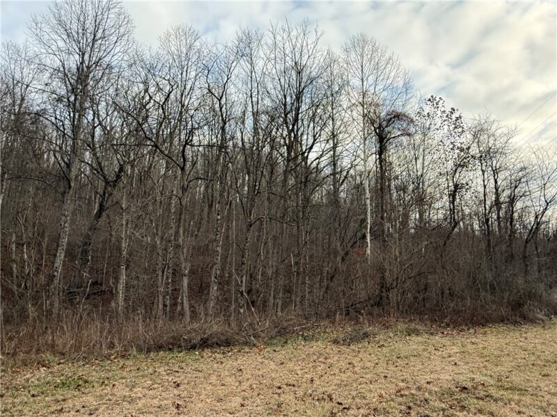 1 Polecat Hollow Rd — photo 3