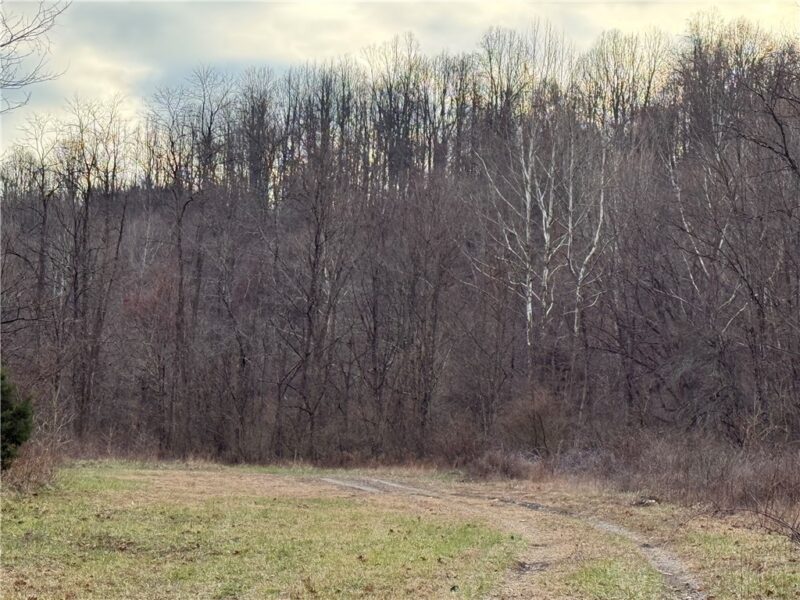 1 Polecat Hollow Rd — photo 4