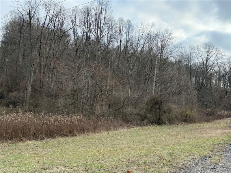 1 Polecat Hollow Rd — photo 5
