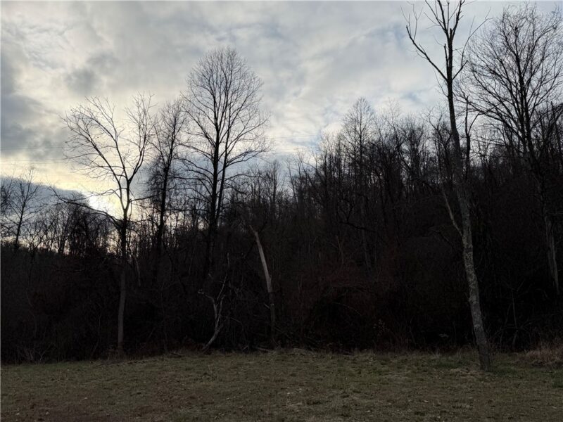 1 Polecat Hollow Rd — photo 7