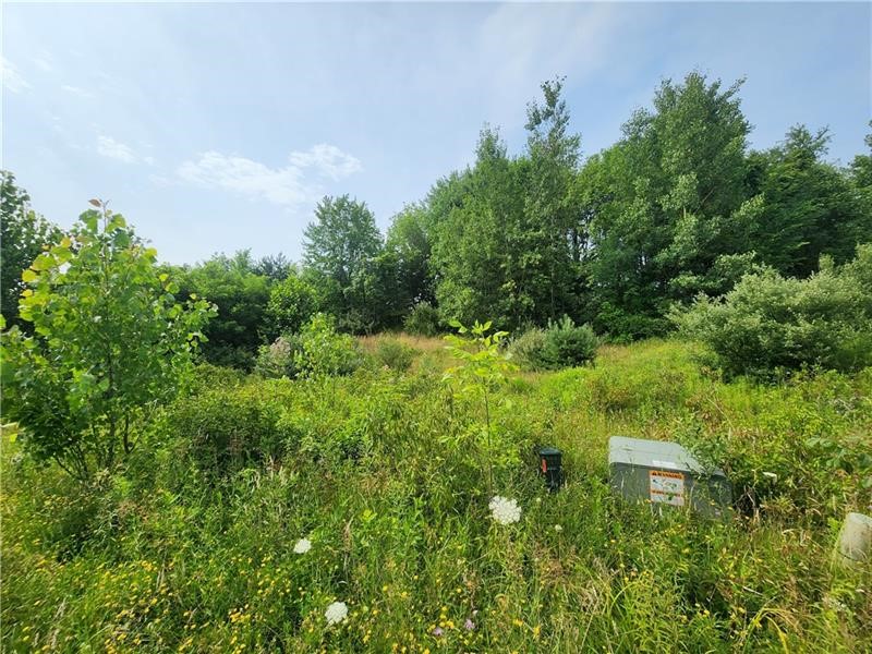 Lot 52 Cambridge Way — photo 5