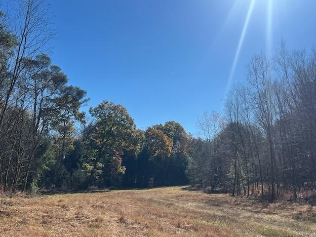 000 Laurel Road — photo 2
