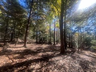000 Laurel Road — photo 3