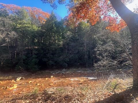 000 Laurel Road — photo 4