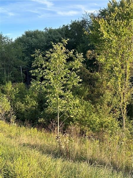 0 Elco Hill Road — photo 2