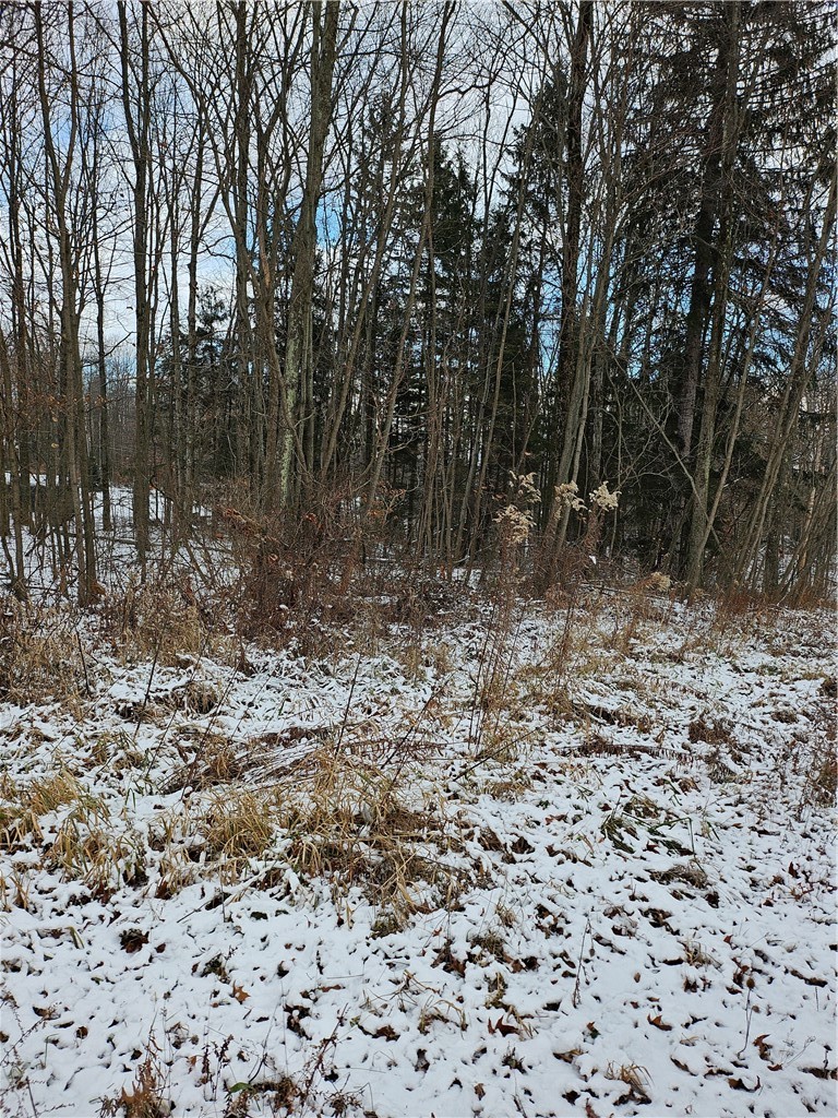 Lot 0 Branchton Road — photo 2