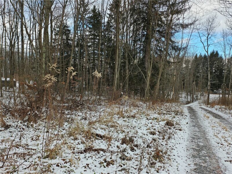 Lot 0 Branchton Road — photo 3