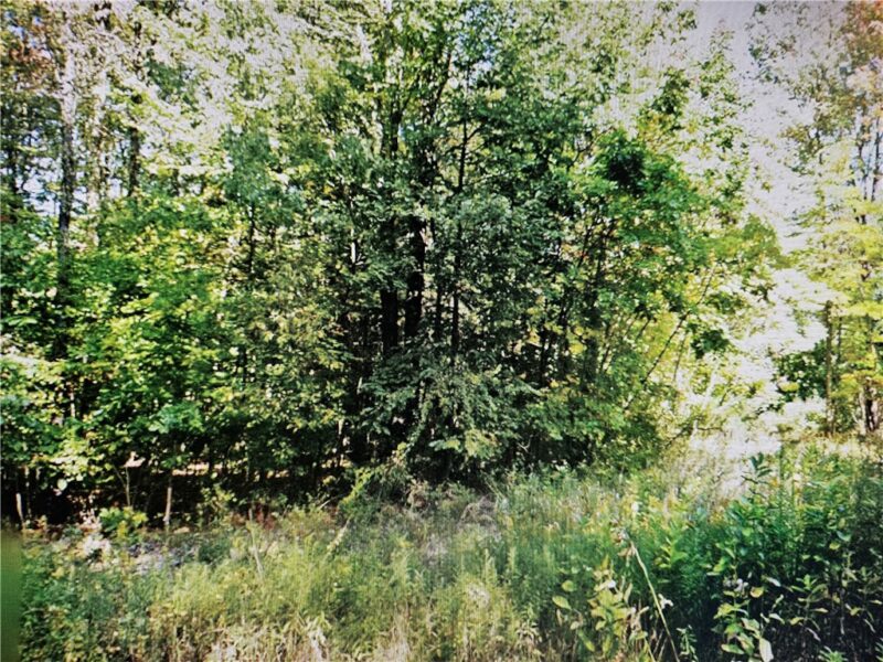 Lot 0 Branchton Road — photo 4