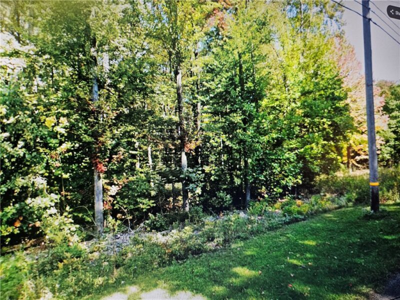 Lot 0 Branchton Road — photo 6