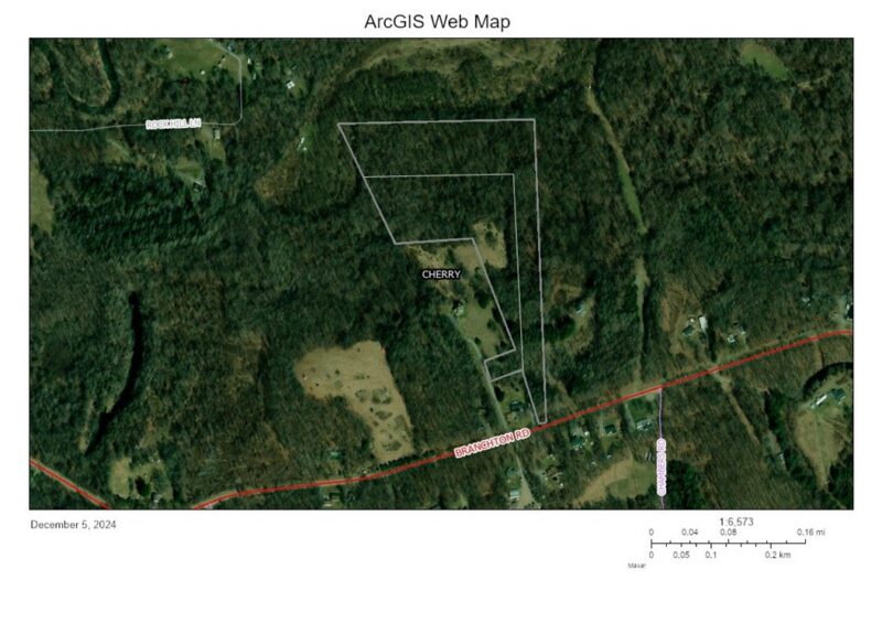 Lot 0 Branchton Road — photo 7