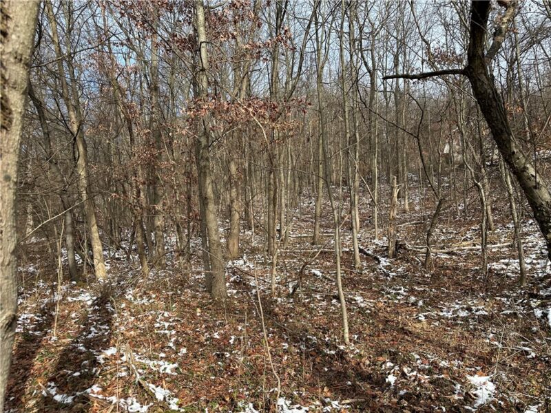 716 Rte 356 — photo 4