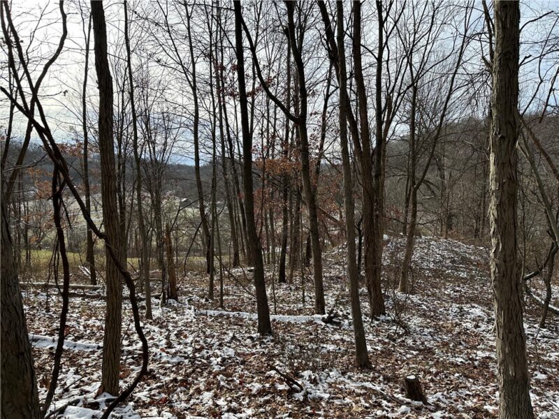716 Rte 356 — photo 5