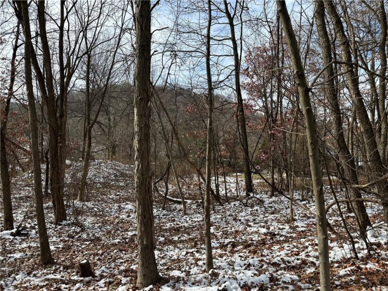 716 Rte 356 — photo 6