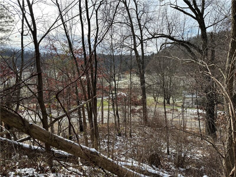 716 Rte 356 — photo 7