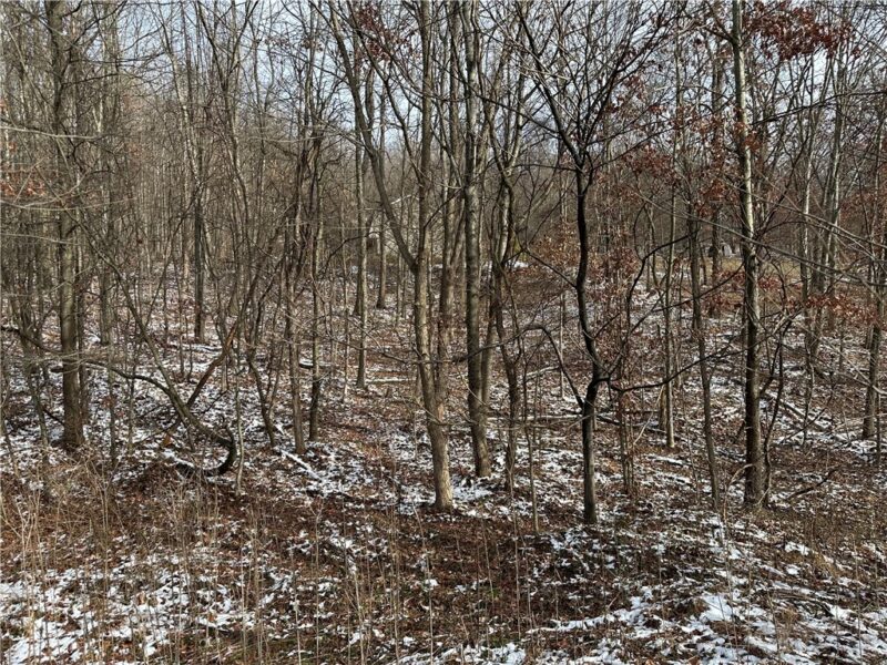 716 Rte 356 — photo 8