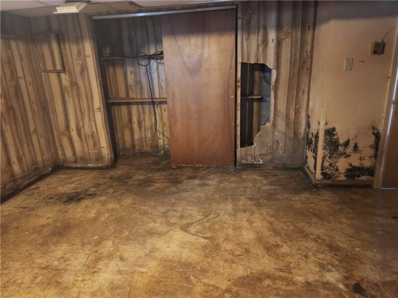 601 Francis Court — photo 6