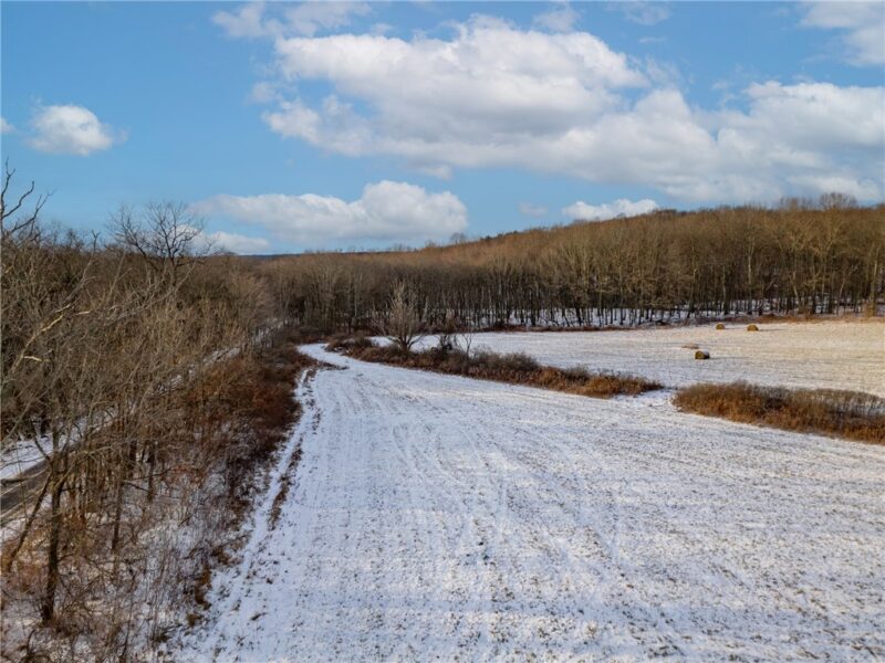 0 Grant City Road — photo 4
