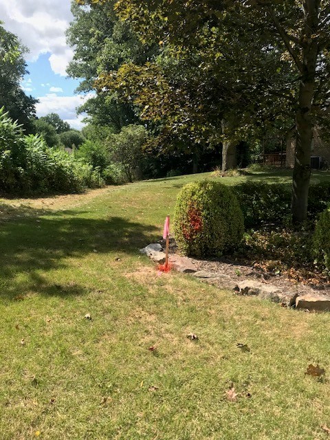 113 Nicola Ln — photo 3