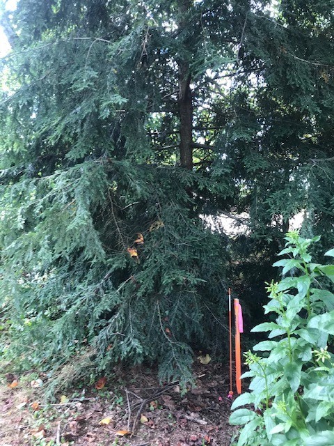 113 Nicola Ln — photo 4