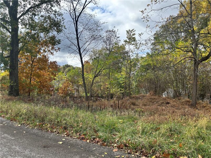113 Nicola Ln — photo 6