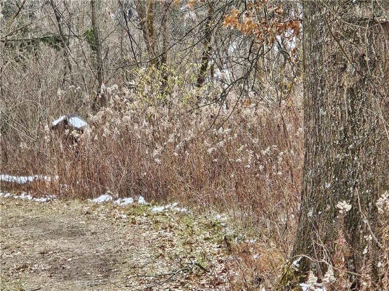 2505 Lot 2 Guffey — photo 2